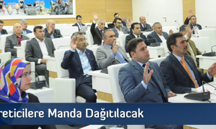 Kadın Üreticilere Manda Dağıtılacak