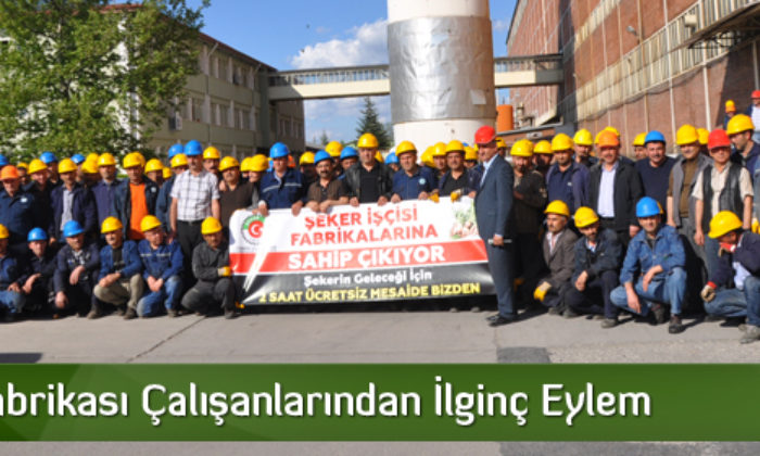 Şeker İşçilerinden İlginç Eylem