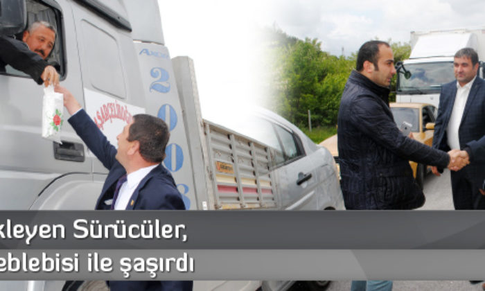 Ceza Bekleyen Sürücüler,