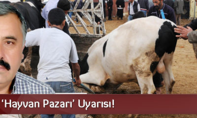 Gür’den ‘Hayvan Pazarı’ Uyarısı!