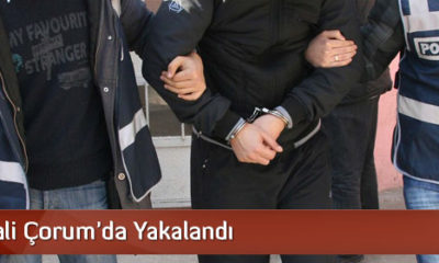 Sahte Vali Çorum’da Yakalandı