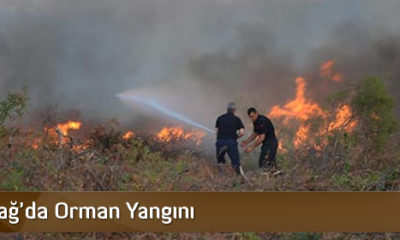 Uğurludağ’da Orman Yangını