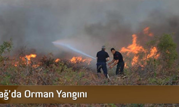 Uğurludağ’da Orman Yangını