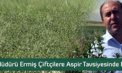 Çifçtilere “Aspir” Tavsiyesi