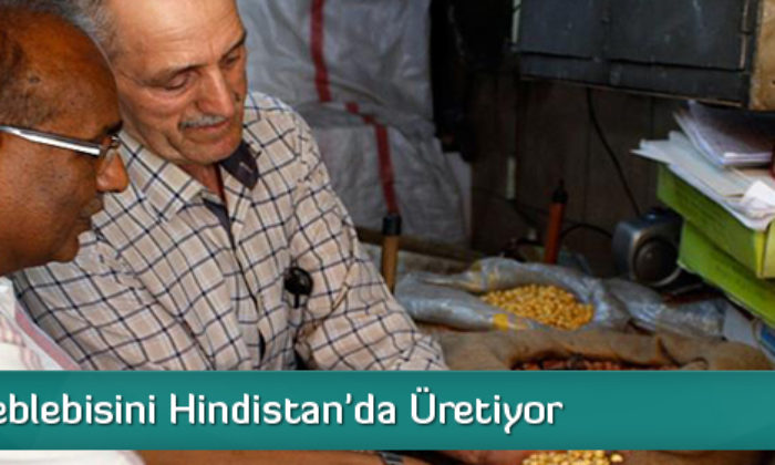 Çorum Leblebisini Hindistan’da Üretiyor