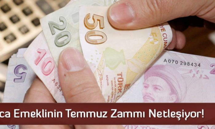 Milyonlarca Emeklinin Temmuz Zammı !