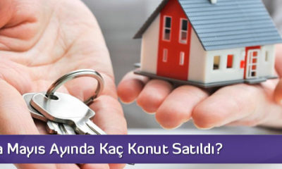 Çorum’da Mayıs Ayında Kaç Satıldı