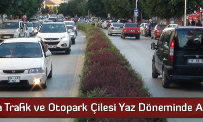 Bu Gidiş Nereye