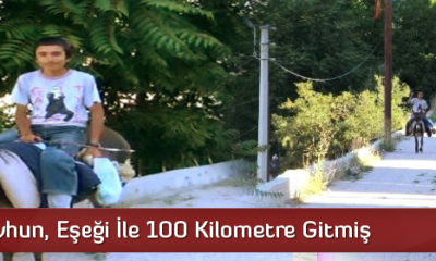 Eşekle Şehirlerarası Yolculuk Yaptı