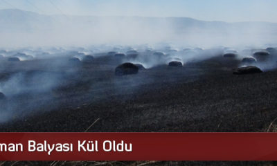 Saman Balyası Kül Oldu