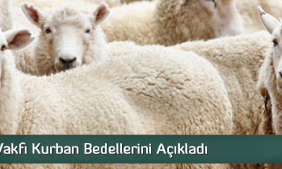 Diyanet Vakfı Kurban Bedellerini Açıkladı