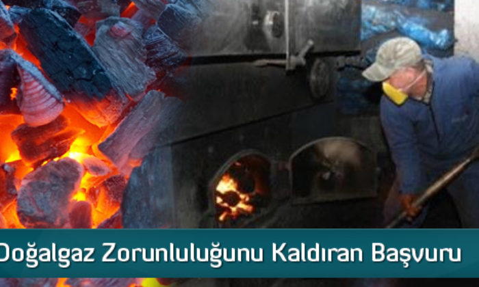 Doğalgaz Zorunluluğu Ortadan Kalktı