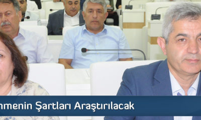 Evlat Edinmenin Şartları Araştırılacak