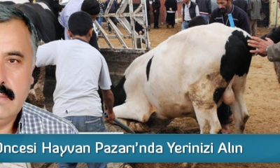 Bayram Öncesi Hayvan Pazarı’nda Yerinizi Alın