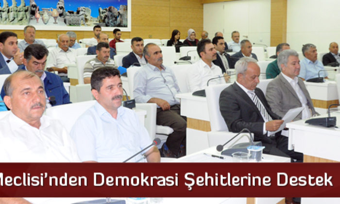 Demokrasi Şehitlerine Destek