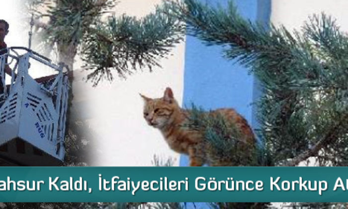 İtfaiyeden Kedi Kurtarma Operasyonu