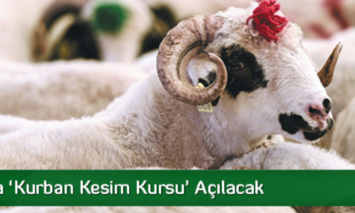 Kasaplara ‘Kurban Kesim Kursu’