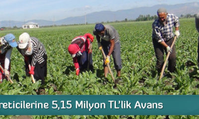 Pancar Üreticilerine 5,15 Milyon TL’lik Avans