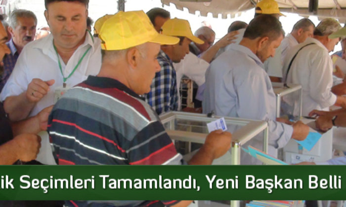 Pankobilik’te Başkan Belli Oldu