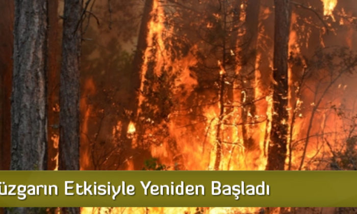 Osmancık’taki Orman Yangını Sürüyor