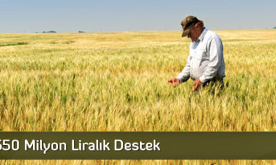 Çiftçiye 550 Milyon Liralık Destek