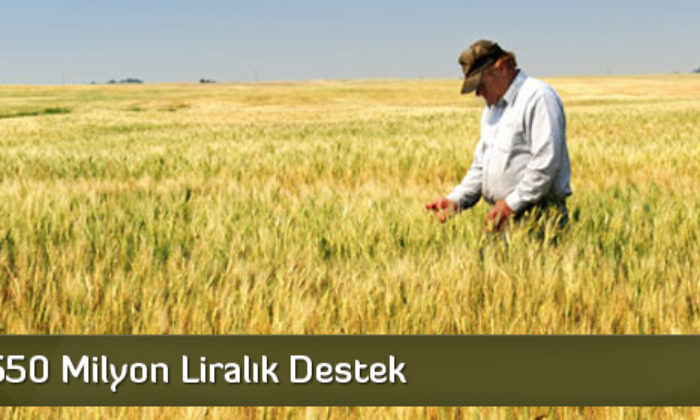Çiftçiye 550 Milyon Liralık Destek