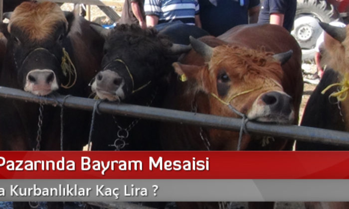 Hayvan Pazarında Bayram Mesaisi
