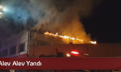 Lokanta Alev Alev Yandı