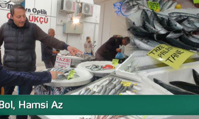 Balık Tezgaha İndi