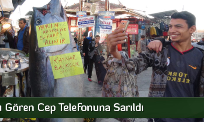 Balığı Gören Cep Telefonuna Sarıldı