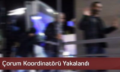 FETÖ’nün Çorum Koordinatörü Yakalandı