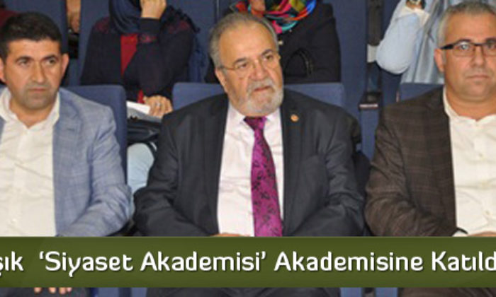 ‘Siyaset Akademisi’