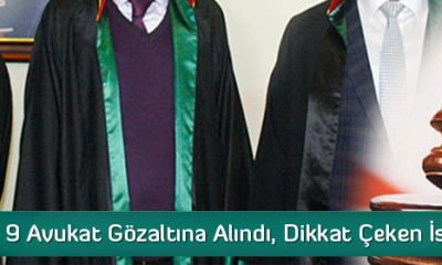 Avukatlara FETÖ Gözaltısı
