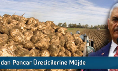 Başbakandan Pancar Üreticilerine Müjde