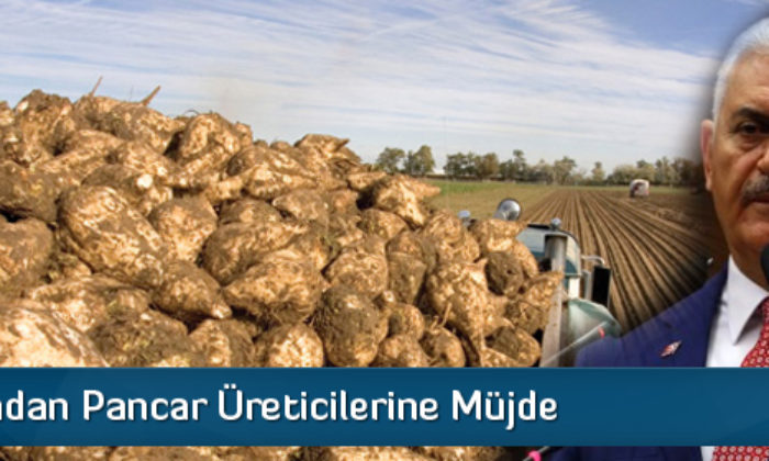 Başbakandan Pancar Üreticilerine Müjde