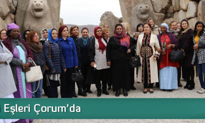 Büyükelçi Eşleri Çorum’da