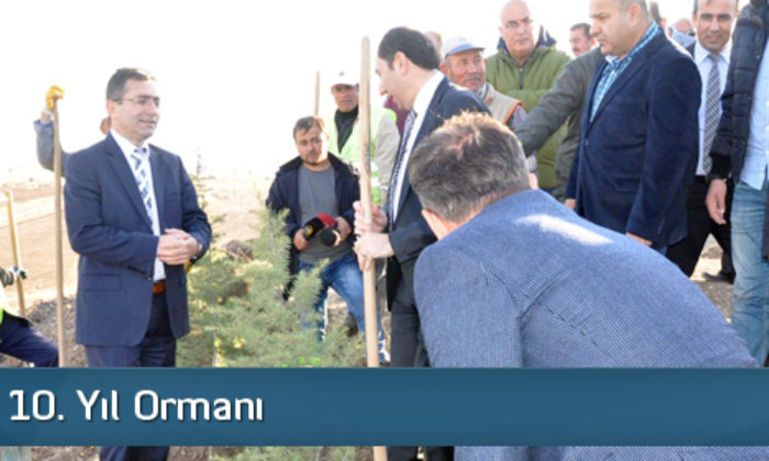 HİTÜ’den 10. Yıl Ormanı