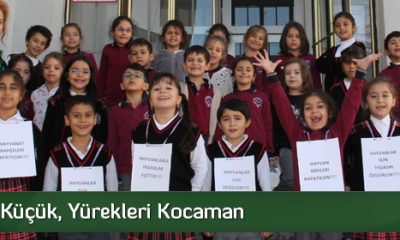 Kendileri Küçük, Yürekleri Kocaman