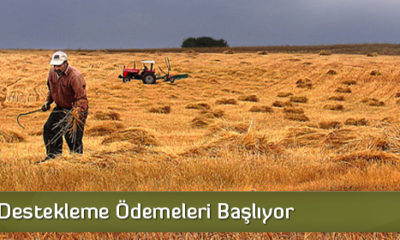 Tarımsal Destekleme Ödemeleri Başlıyor