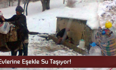 Köylüler Evlerine Eşekle Su Taşıyor!