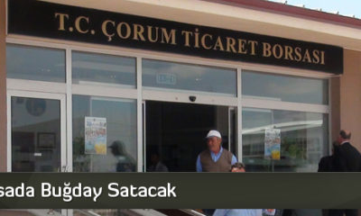 TMO Borsada Buğday Satacak