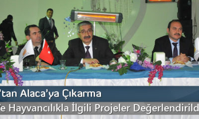 Vali Kılıç’tan Alaca’ya Çıkarma