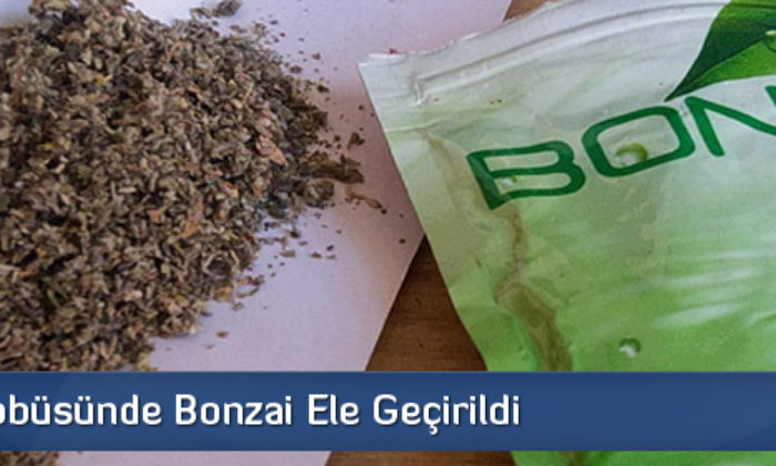 Yolcu Otobüsünde Bonzai Ele Geçirildi