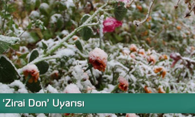 Valilikten ‘Zirai Don’ Uyarısı