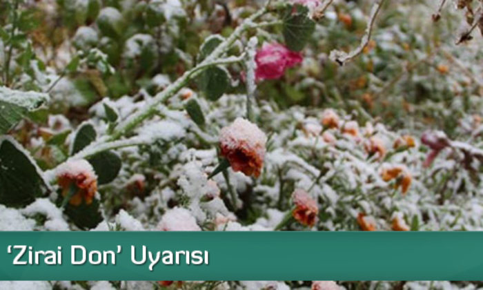 Valilikten ‘Zirai Don’ Uyarısı