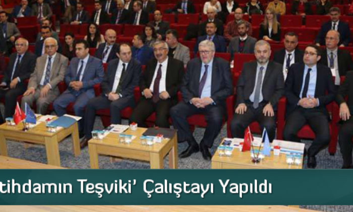 ‘Kayıtlı İstihdamın Teşviki’ Çalıştayı