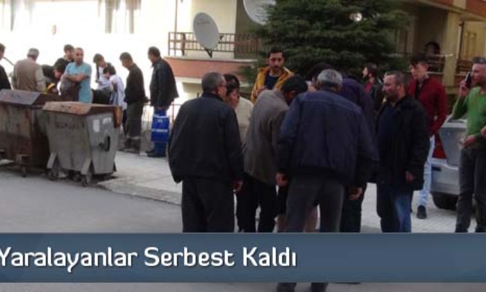 12 Kişiyi Yaraladılar, Serbest Kaldılar