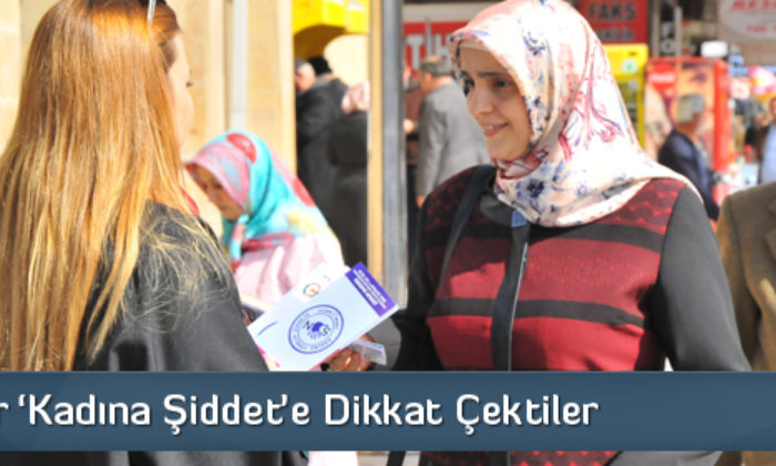 ‘Kadına Şiddet’e Dikkat Çektiler