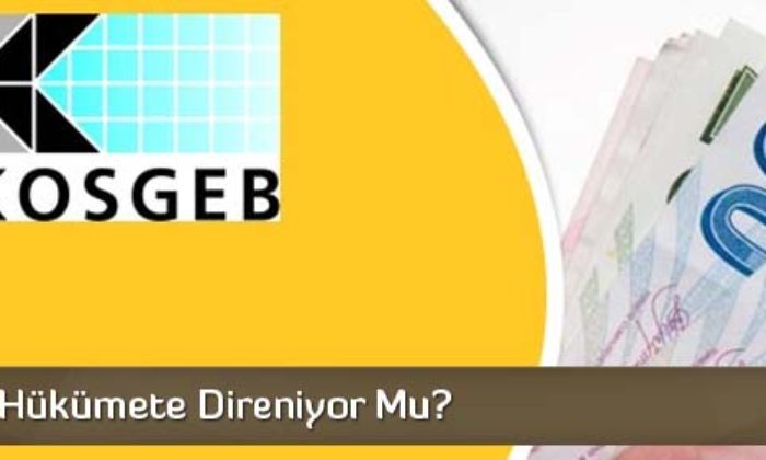 Bankalar Hükümete Direniyor mu?