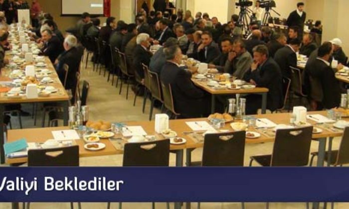 Bir Saat Valiyi Beklediler